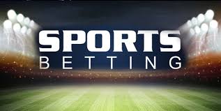 Tout savoir sur Betwinner  le guide ultime des paris en ligne